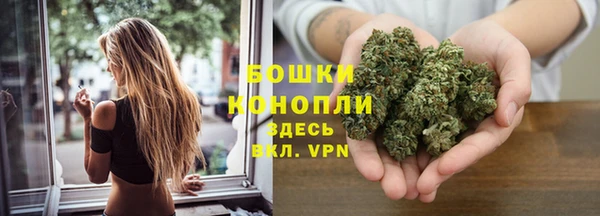 тгк Михайловск