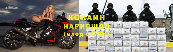 ешки Михайлов