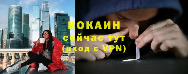 ешки Михайлов
