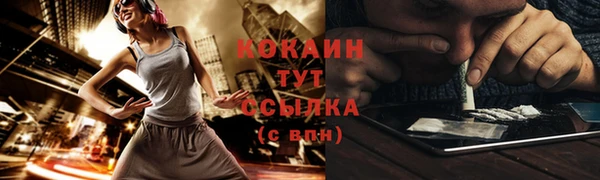 тгк Михайловск