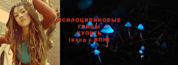 ешки Михайлов