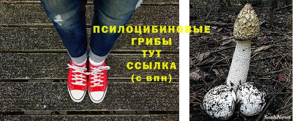 ешки Михайлов