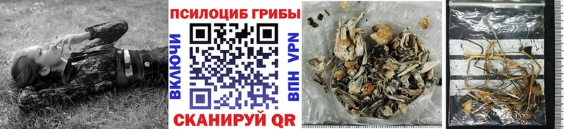 Галлюциногенные грибы GOLDEN TEACHER  гидра вход  Электросталь  сколько стоит 