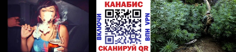 Конопля SATIVA & INDICA Электросталь